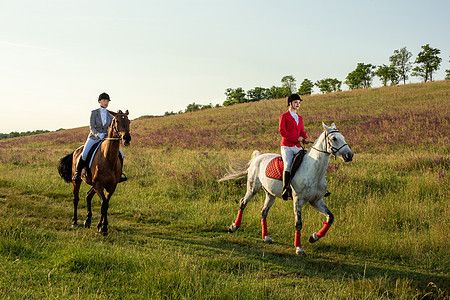 两个有魅力的女人骑着马骑着绿色草地的马娱乐背光马术课程女性运动假期学校马背树叶图片