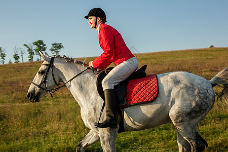 红酥肉骑红马的女骑士 骑马 赛马 骑马的人骑士服饰树木马术竞赛栅栏哺乳动物驯服者骑师帽子背景