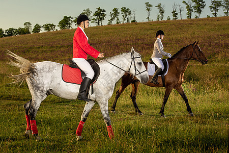 两个年轻女子在公园骑马 夏天马行走农村草地女孩骑师活动骑马者马背学校马术成人图片