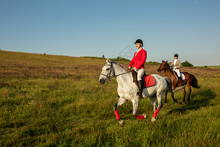 两个有魅力的女人骑着马骑着绿色草地的马车手头盔学校骑士冠军竞赛训练运动闲暇假期图片