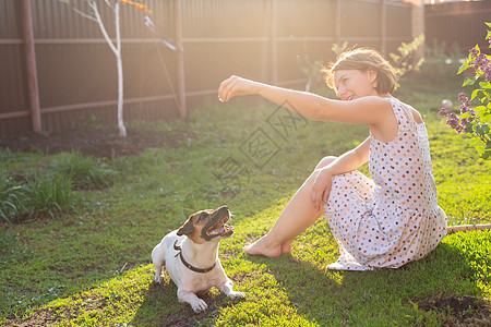 在阳光明媚的夏日 穿着裙子 笑得积极的年轻女子和她心爱的不安分的狗一起坐在乡间别墅的院子里玩耍 家庭周末的概念友谊小狗喜悦宠物朋图片