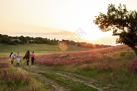 夏天快乐的夕阳一起在户外露天 两匹女人和两匹马自由朋友们幸福日落荒野男人情绪娱乐天空女孩图片