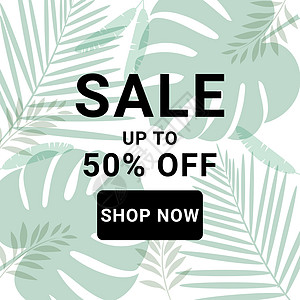 折扣棕榈热带树叶和龟背竹叶 趋势 豪华的设计来宣传和推广您的公司 时尚款式图片