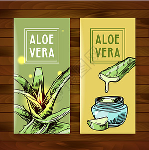 Aloe vera草图矢量插图 手画风格绘画叶子墨水植物学果汁药品植物皮肤科艺术草本植物图片