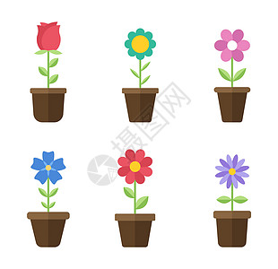花盆平面图标 颜色矢量图 花盆里的不同花朵 上面有绿叶矢量图 商标设计 事务和促进概念图片