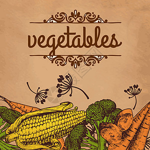 古老的复古农场新鲜招贴画设计农业餐厅邮票手绘生物海报菜单食物收成质量图片