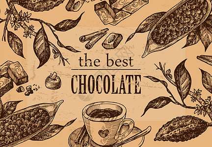 巧克力 可可图表图解巧克力热带艺术插图棉花叶子植物学绘画杯子墨水水果插画