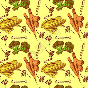 配蔬菜的矢量无缝模式 可用于壁纸 网页背景 包装 纺织品和剪贴本胡椒菜花植物草图农业绘画食物南瓜插图黄瓜图片