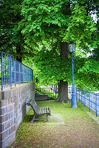 绿色城市公园栅栏森林橡木花园草地灯笼长椅小路娱乐石头图片