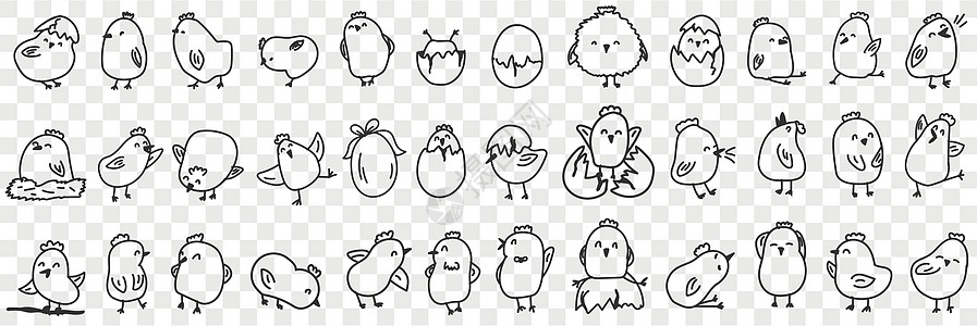 小小鸡在农场的涂鸦套餐上艺术手绘宠物孩子们孵化插图母鸡农业绘画草图图片