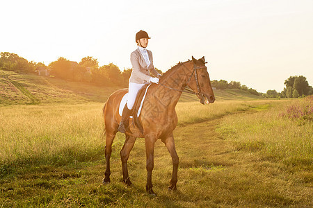 马术运动 年轻女子骑马参加着装高级测试 太阳耀斑展示马术女孩动物行动时尚骑马者比赛阳光骑师图片