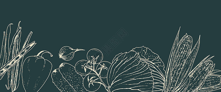 蔬菜背景框图叶子园艺海报香料生产收成市场草本植物洋葱横幅背景图片
