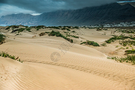 兰萨罗特沿海沙丘图片