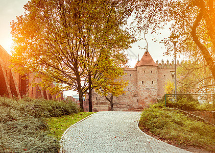 华沙世界石头建筑物墙壁建筑学牧歌遗产戒指植物城堡图片