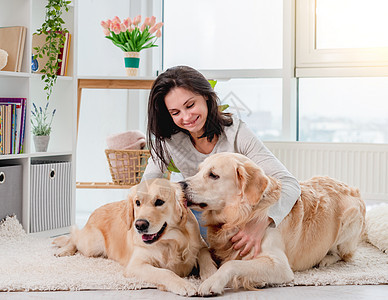女孩旁边的金色寻金犬地面犬类动物哺乳动物友谊女性成人猎犬公寓宠物图片