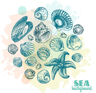 手抽的壳牌海洋绘画情调旅行牡蛎动物海滩草图手绘海星图片