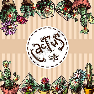 粘液和仙人掌装饰品纺织品花园植物收藏沙漠织物涂鸦植物学叶子图片