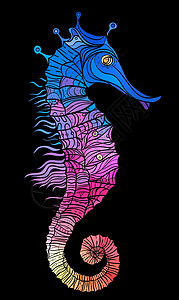 彩虹海马 装饰性几何矢量说明调色板野生动物多边形白色插图河马绘画蓝色热带生活图片