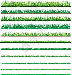 一组绿草背景 孤立于白色背景 矢量插图 Victor I叶子场地杂草农场草本植物生长地面绘画季节植物图片