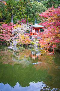 美丽的大地寺庙 秋季有丰富多彩的树叶季节叶子花园地标宝塔宗教旅行公园池塘图片