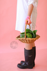 女性用粉红一面体背景的卷心菜包着篮子图片