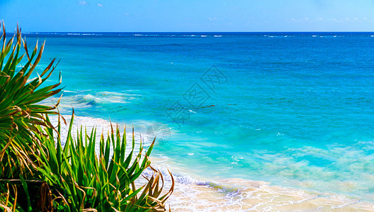 落基海岸覆盖着海滩上的绿绿色爬坡石头悬崖旅游晴天海洋假期海景支撑风景图片