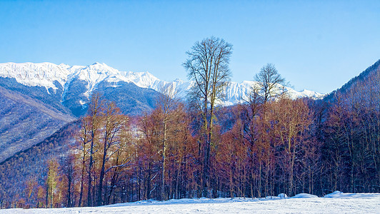 阳光明媚的一天 山峰景色很美环境全景运动山脉旅游假期滑雪玫瑰天空森林图片