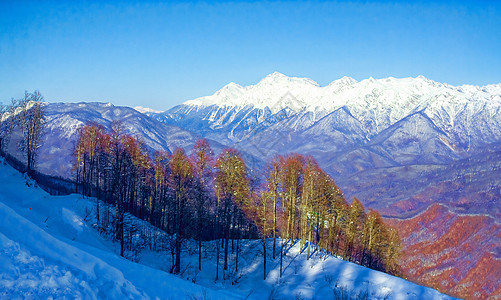 阳光明媚的一天 山峰景色很美旅游蓝色顶峰全景环境滑雪运动玫瑰季节旅行图片