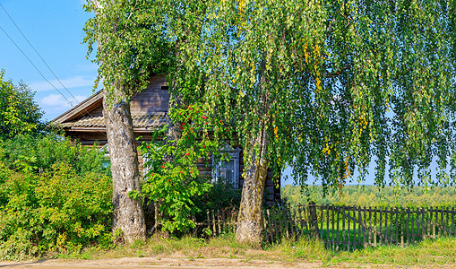 在茂密的树丛中 有旧木屋蓝色建筑学森林乡村风景建筑小屋花园农场村庄图片