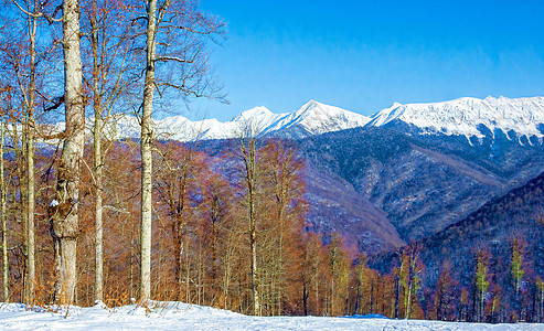 阳光明媚的一天 山峰景色很美旅行季节高山爬坡玫瑰假期全景岩石山脉天空图片