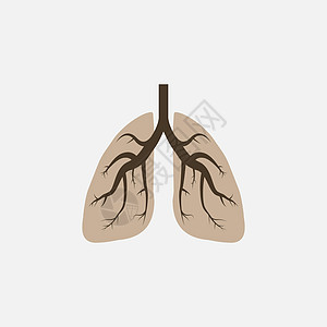 肺部 医用图标 矢量插图 平面设计器官支气管呼吸艺术网络生物烟道标识胸部哮喘图片