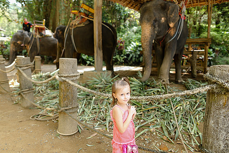 幼小的caucasian女孩站在大象旁边图片