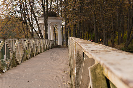 桥公园五颜六色的背景黄色 叶子橙色旅行 scenics 路 荷兰德国宫廷 清新活力图片