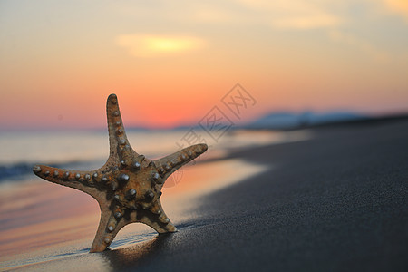 夏季海滩日落 沙滩上有星星天堂海洋生活海岸线阳光海岸假期旅行季节蓝色图片