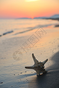 夏季海滩日落 沙滩上有星星阳光季节天堂明信片天空海岸线旅行假期蓝色工作室图片