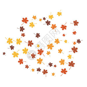 秋后地橙子插图环境落叶树叶金子红色季节飞行植物图片