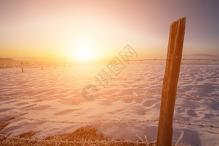 日落期间冬季风景蓝色日出天空紫色场地阳光公园太阳季节场景图片