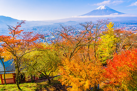 秋季秋天 在青叶树周围的美丽的山地风景图片