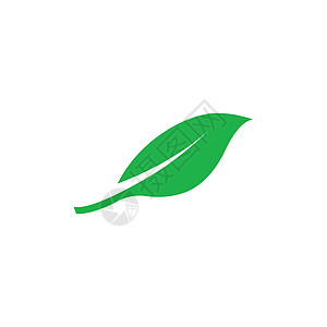 生态树叶叶商业生物植物叶子环境标识插图生长模板绿色背景图片