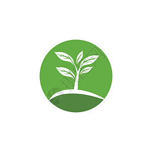 生态树叶叶叶子商业生长绿色标识插图模板环境植物生物背景图片