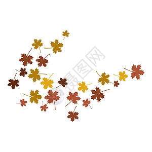 秋叶背景植物棕色橙子叶子树叶森林红色橡木白色黄色图片
