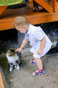 小男孩跟猫玩耍童年婴儿男性冒充青年孩子乐趣幸福游戏儿子图片