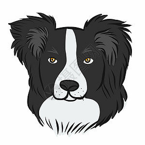 微型Schnauser狗面临卡通漫画矢量插图小狗白色宠物黑色祖父头发胡子友谊治疗犬猎犬图片