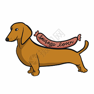 Dachshund狗香肠香肠情人卡通漫画矢量插图图片