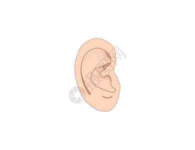 人类耳 解剖图标 矢量插图 平坦体积损失结节螺旋生物学音乐听力耳屏身体解剖学图片