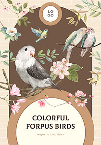 配有forpus鸟类概念 水彩色风格的海报牌模板动物传单羽毛广告插图宠物飞行鹦鹉营销小册子图片