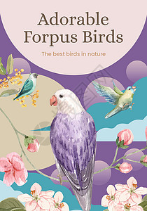 配有forpus鸟类概念 水彩色风格的海报牌模板野生动物营销小册子动物羽毛水彩插图婴儿飞行宠物图片
