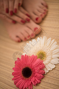 女用脚和手在温泉沙龙皮肤身体治疗美容呵护修脚手指女士女性脚趾图片