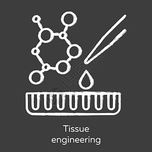 组织工程粉笔图标 将细胞和分子结合成功能组织 修复受损的人体器官 再生医学 生物工程 孤立的矢量黑板插图图片