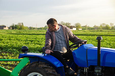 拖拉机上的农民正在监控收获马铃薯的设备的运行情况 农业和农田 简化技术和机器的工作速度 农业工业和农业综合企业图片